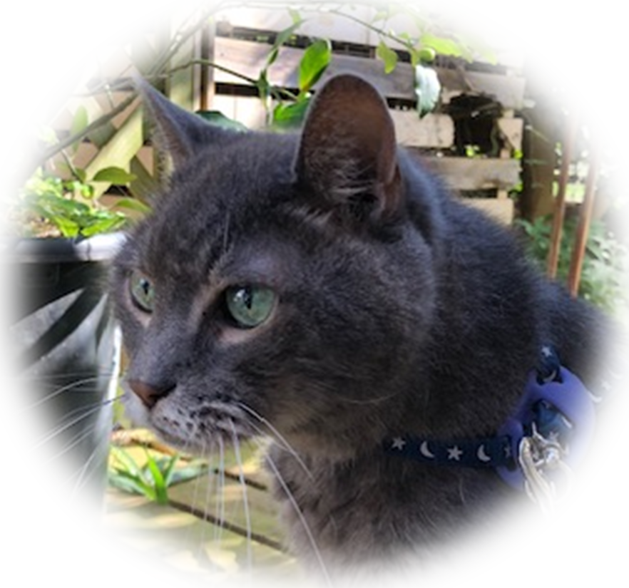 グリーフケアチャンネルイメージ